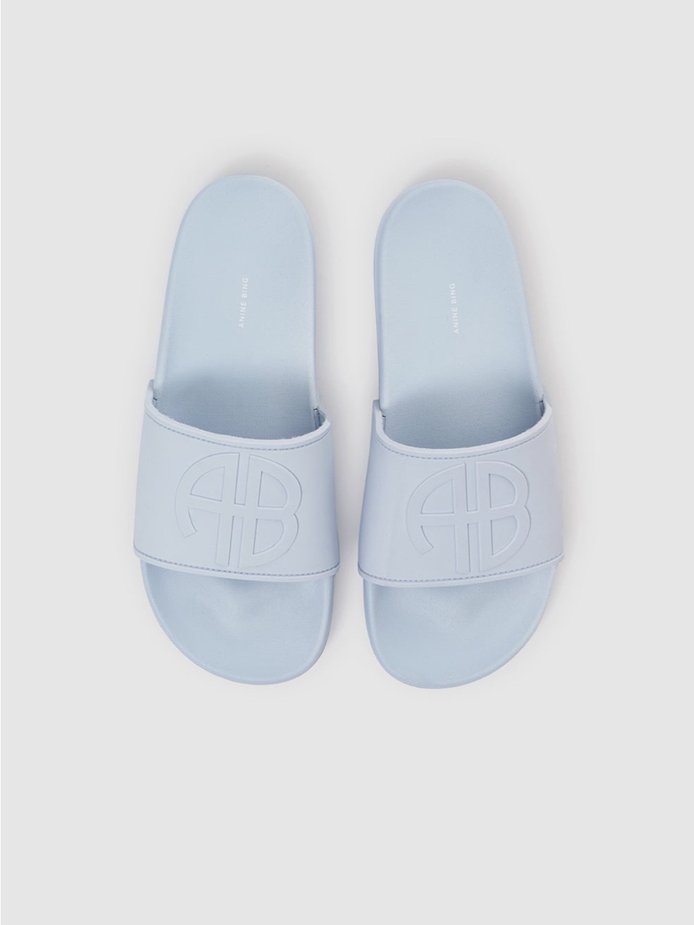 Anine Bing Isla Slides in Pale Blue